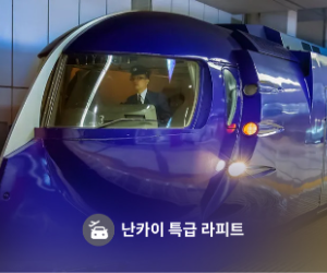간사이공항에서 난바까지, 난카이 라피트가 맞는 사람과 아닌 사람